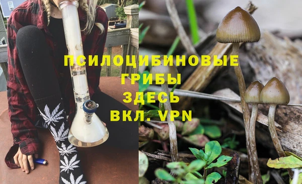 скорость Сясьстрой